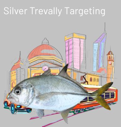 Silver Trevally Fishing Reports