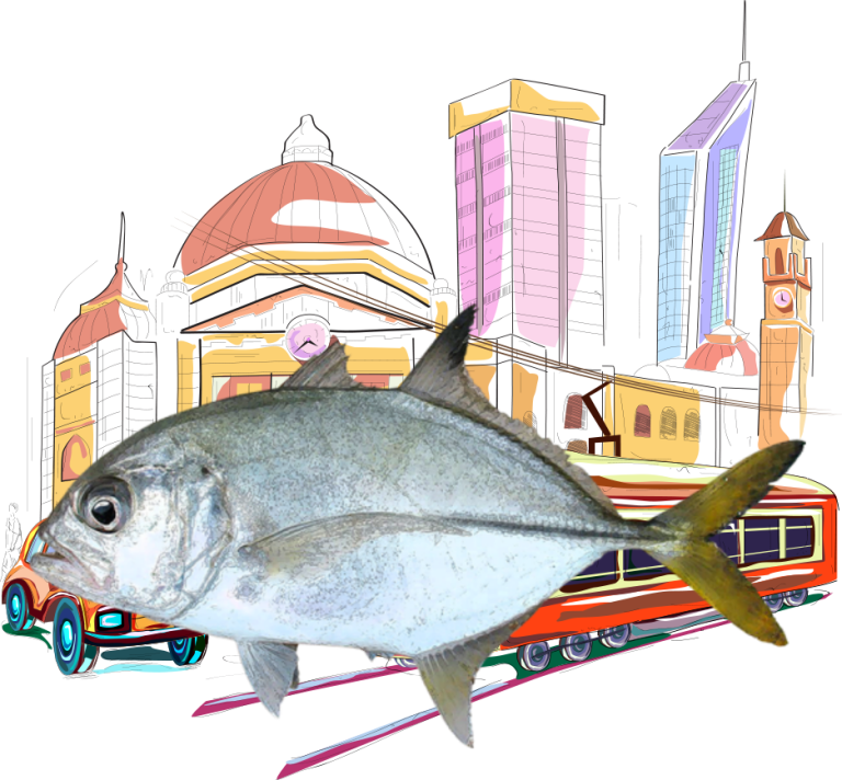 Silver Trevally Fishing Reports