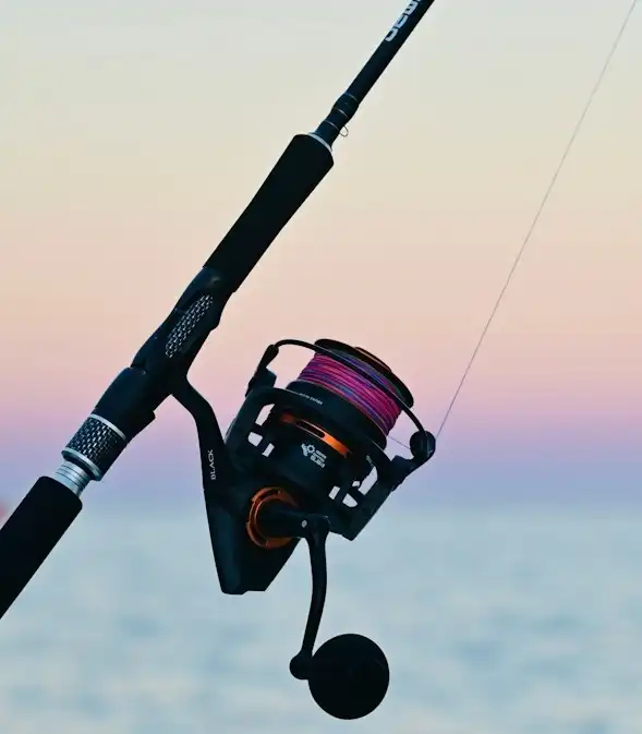 Snapper Rod & Reel