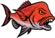 Getfished - Fishing Forecasts and Reports