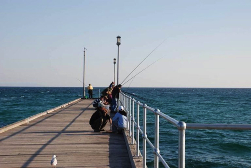 Mordialloc Pier Fishing