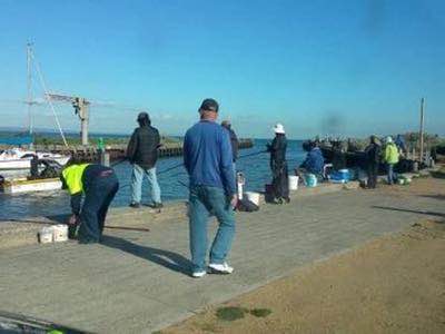 Mordialloc Creek Fishing