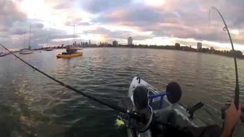 Kayak Fishing Port Melbourne